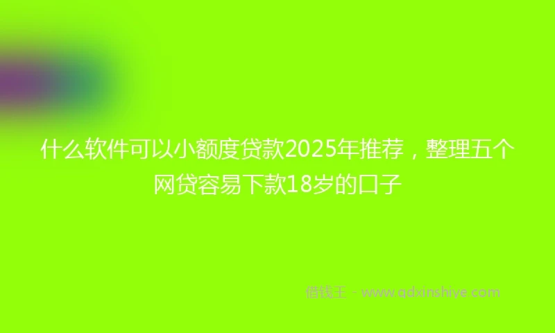 什么软件可以小额度贷款2025年推荐，整理五个网贷容易下款18岁的口子