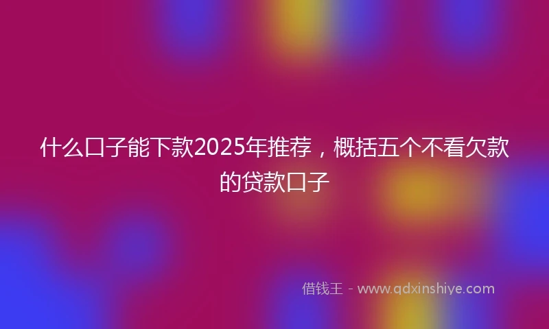 什么口子能下款2025年推荐，概括五个不看欠款的贷款口子