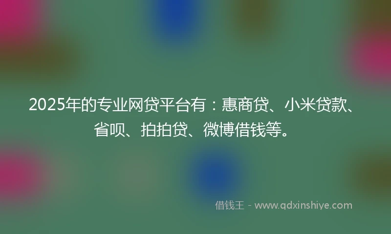 2025年的专业网贷平台有：惠商贷、小米贷款、省呗、拍拍贷、微博借钱等。