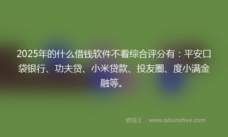 2025年的什么借钱软件不看综合评分有：平安口袋银行、功夫贷、小米贷款、投友圈、度小满金融等。