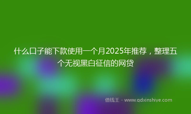 什么口子能下款使用一个月2025年推荐，整理五个无视黑白征信的网贷
