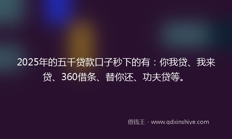 2025年的五千贷款口子秒下的有：你我贷、我来贷、360借条、替你还、功夫贷等。