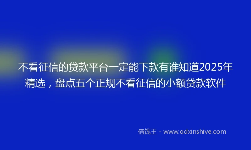 不看征信的贷款平台一定能下款有谁知道2025年精选，盘点五个正规不看征信的小额贷款软件