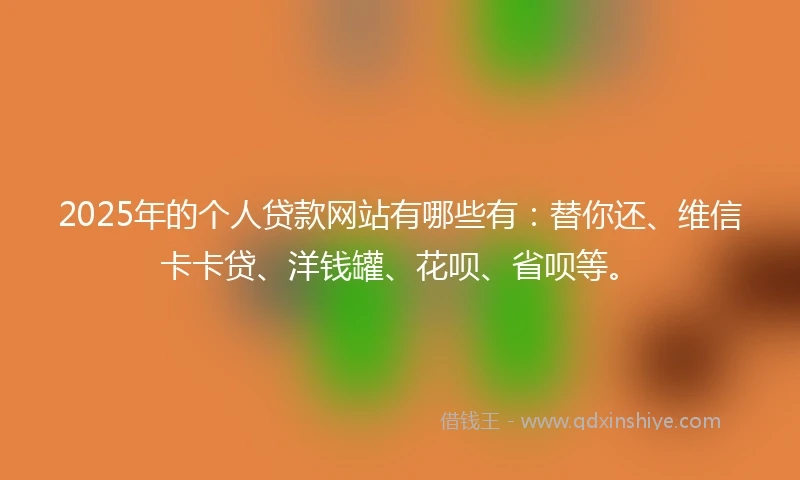 2025年的个人贷款网站有哪些有：替你还、维信卡卡贷、洋钱罐、花呗、省呗等。