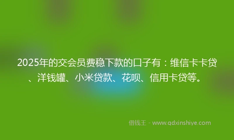 2025年的交会员费稳下款的口子有：维信卡卡贷、洋钱罐、小米贷款、花呗、信用卡贷等。