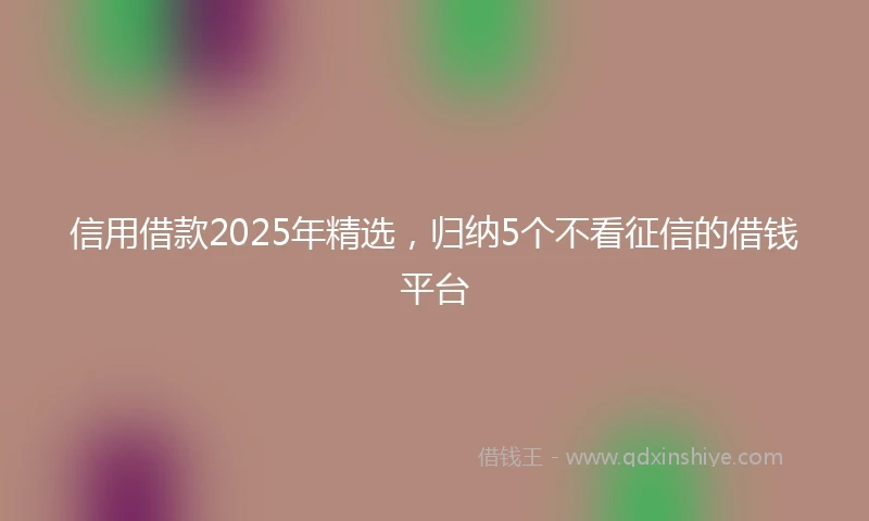信用借款2025年精选，归纳5个不看征信的借钱平台