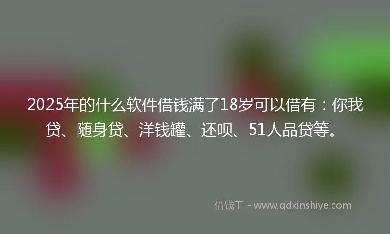 2025年的什么软件借钱满了18岁可以借有：你我贷、随身贷、洋钱罐、还呗、51人品贷等。