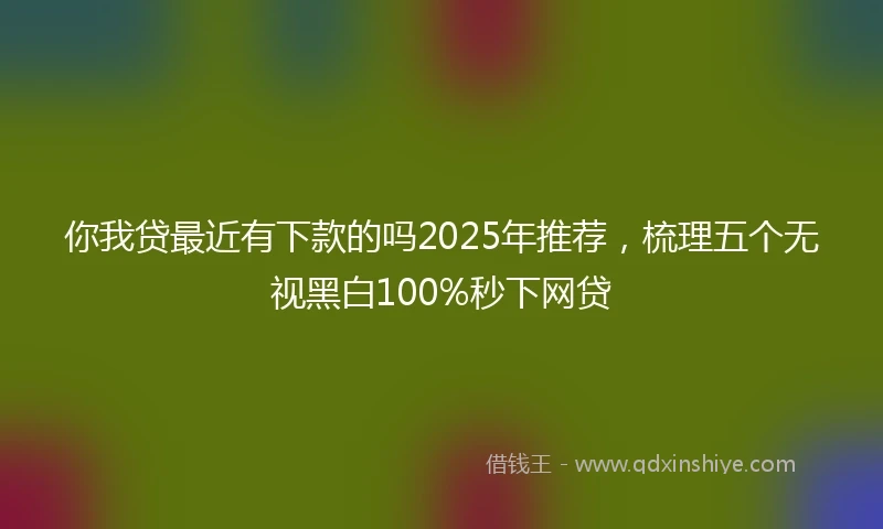 你我贷最近有下款的吗2025年推荐，梳理五个无视黑白100%秒下网贷