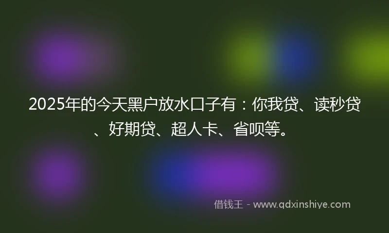 2025年的今天黑户放水口子有：你我贷、读秒贷、好期贷、超人卡、省呗等。