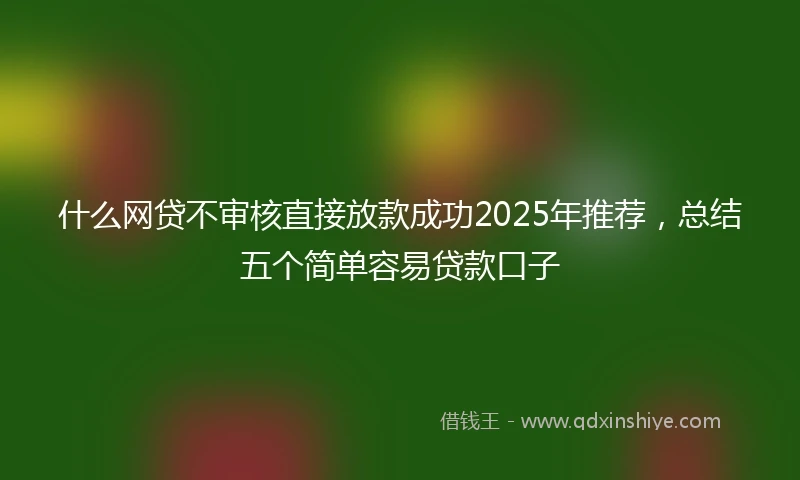 什么网贷不审核直接放款成功2025年推荐，总结五个简单容易贷款口子