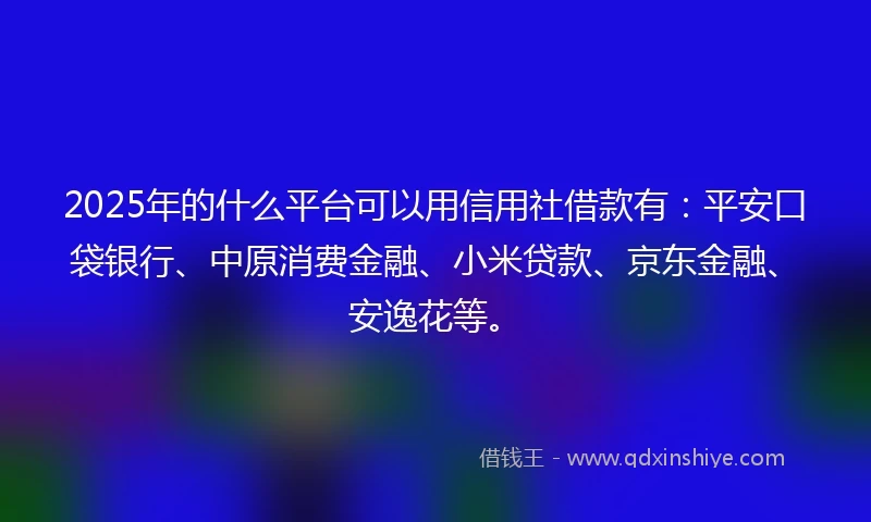 2025年的什么平台可以用信用社借款有：平安口袋银行、中原消费金融、小米贷款、京东金融、安逸花等。