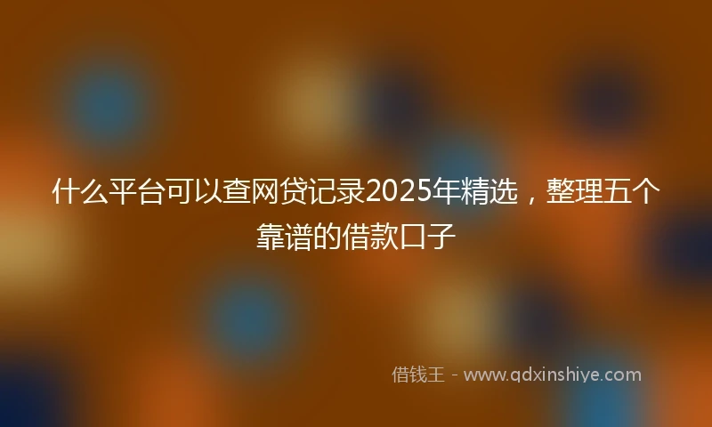 什么平台可以查网贷记录2025年精选，整理五个靠谱的借款口子