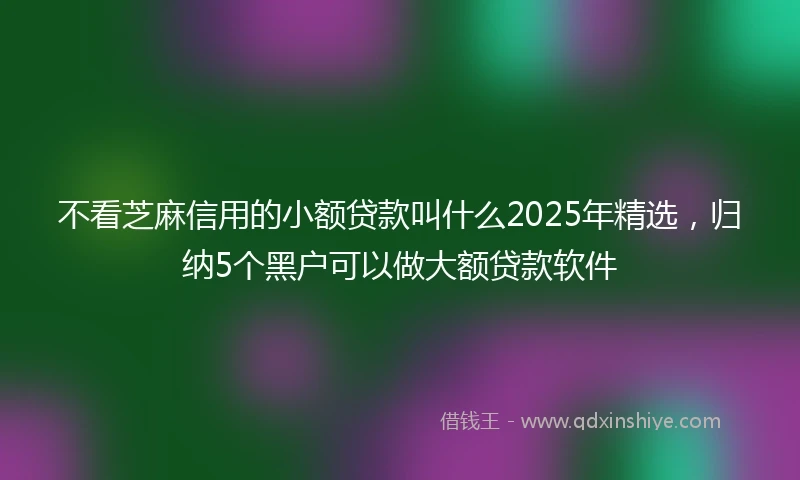 不看芝麻信用的小额贷款叫什么2025年精选，归纳5个黑户可以做大额贷款软件