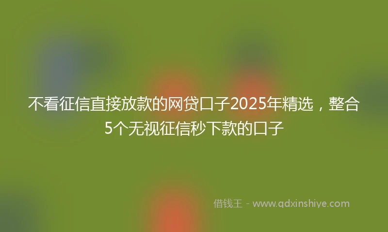 不看征信直接放款的网贷口子2025年精选，整合5个无视征信秒下款的口子