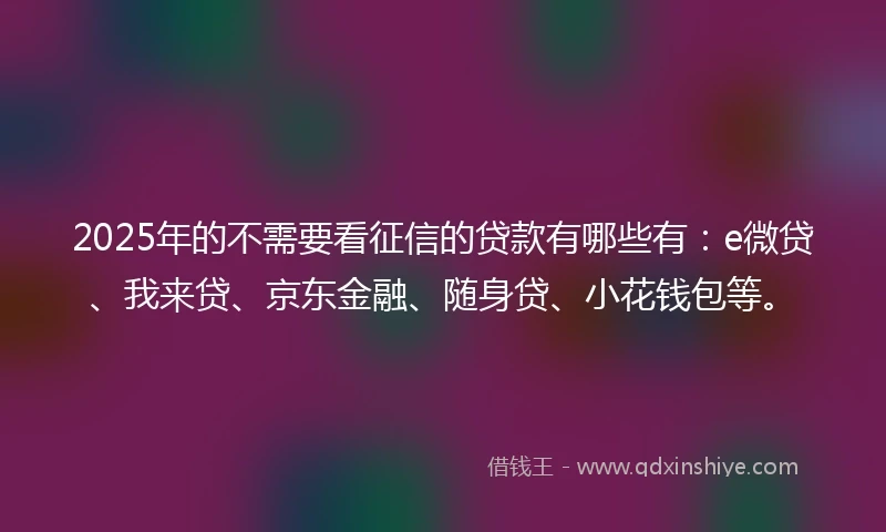 2025年的不需要看征信的贷款有哪些有：e微贷、我来贷、京东金融、随身贷、小花钱包等。