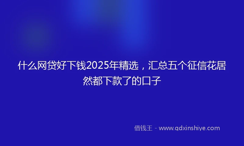 什么网贷好下钱2025年精选，汇总五个征信花居然都下款了的口子
