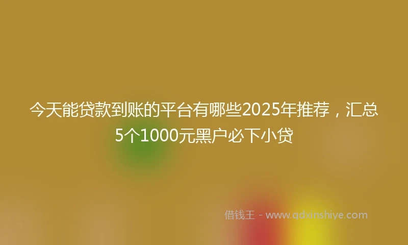 今天能贷款到账的平台有哪些2025年推荐，汇总5个1000元黑户必下小贷