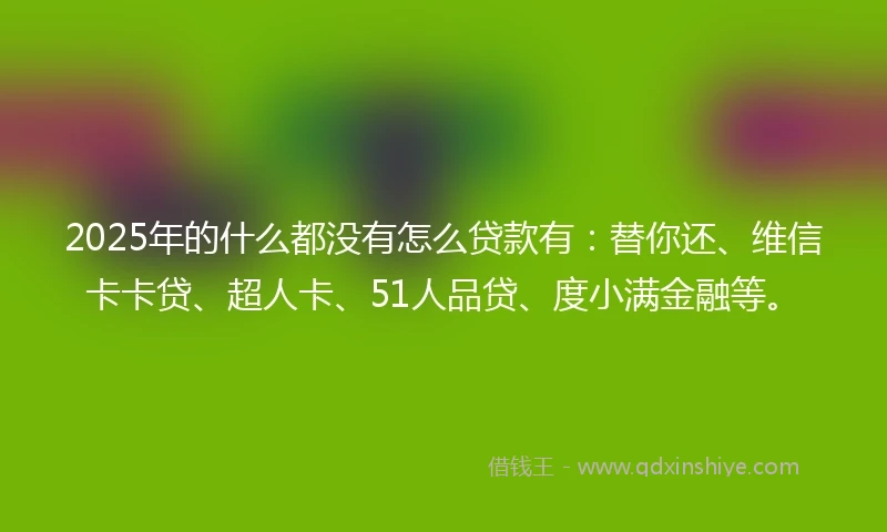 2025年的什么都没有怎么贷款有：替你还、维信卡卡贷、超人卡、51人品贷、度小满金融等。