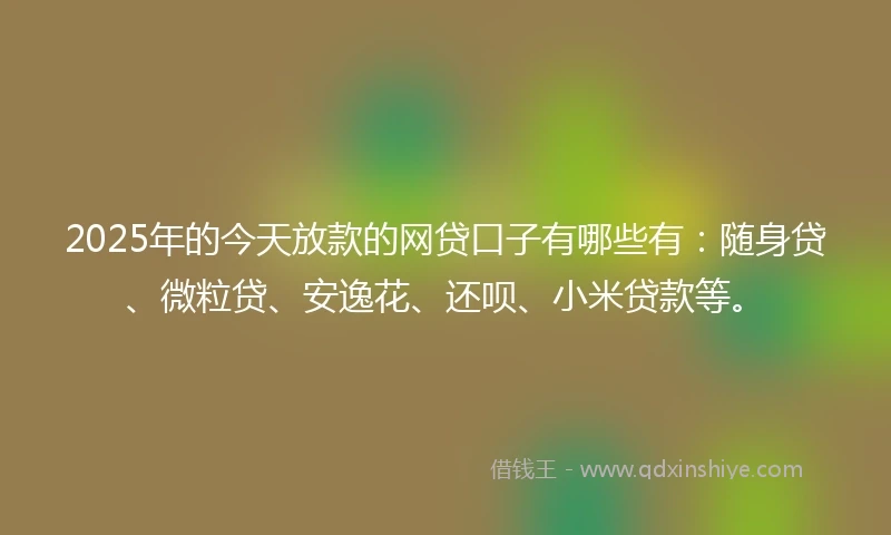 2025年的今天放款的网贷口子有哪些有：随身贷、微粒贷、安逸花、还呗、小米贷款等。