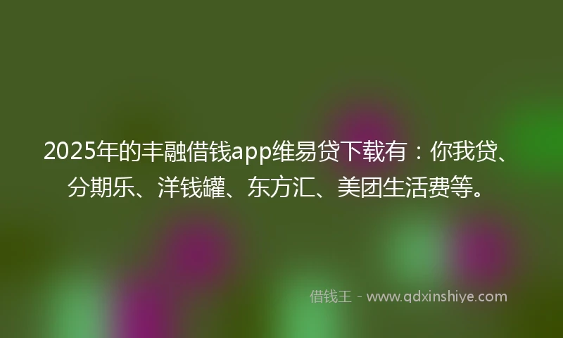 2025年的丰融借钱app维易贷下载有：你我贷、分期乐、洋钱罐、东方汇、美团生活费等。