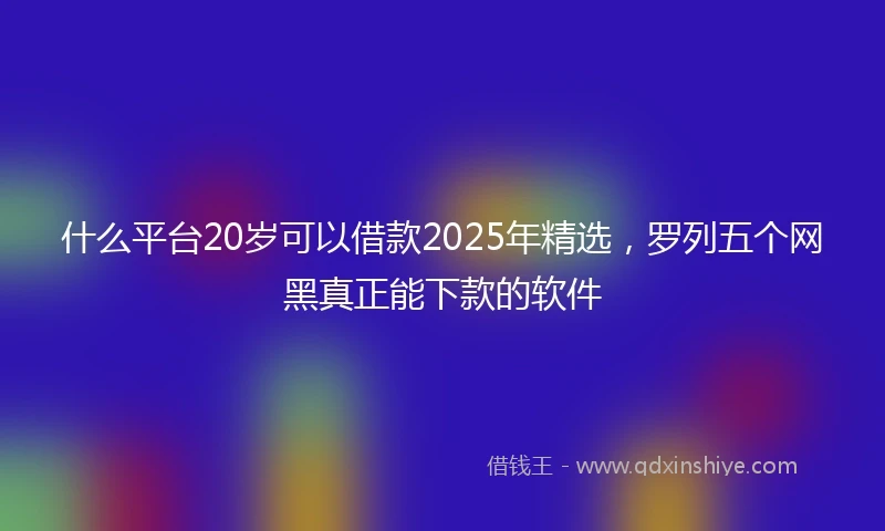 什么平台20岁可以借款2025年精选，罗列五个网黑真正能下款的软件