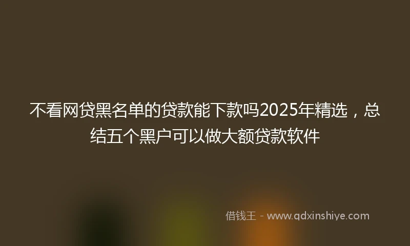 不看网贷黑名单的贷款能下款吗2025年精选，总结五个黑户可以做大额贷款软件