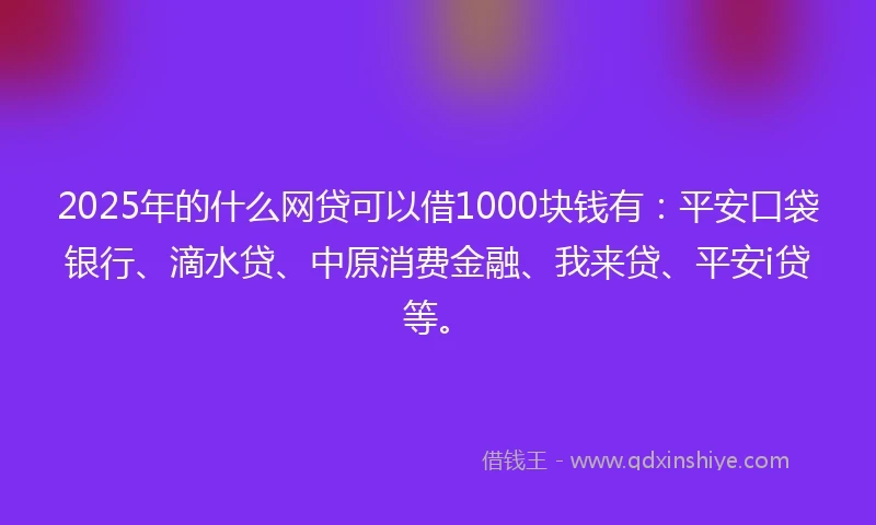 2025年的什么网贷可以借1000块钱有：平安口袋银行、滴水贷、中原消费金融、我来贷、平安i贷等。