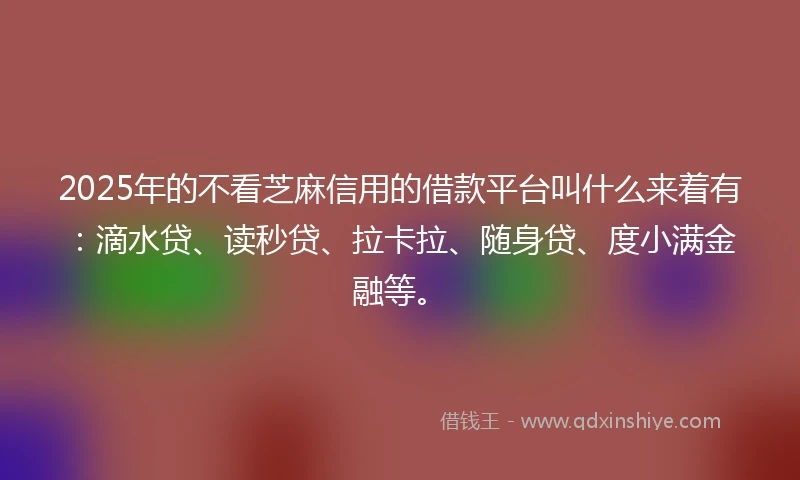 2025年的不看芝麻信用的借款平台叫什么来着有：滴水贷、读秒贷、拉卡拉、随身贷、度小满金融等。