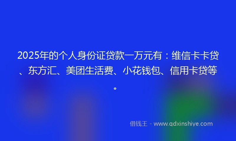 2025年的个人身份证贷款一万元有：维信卡卡贷、东方汇、美团生活费、小花钱包、信用卡贷等。