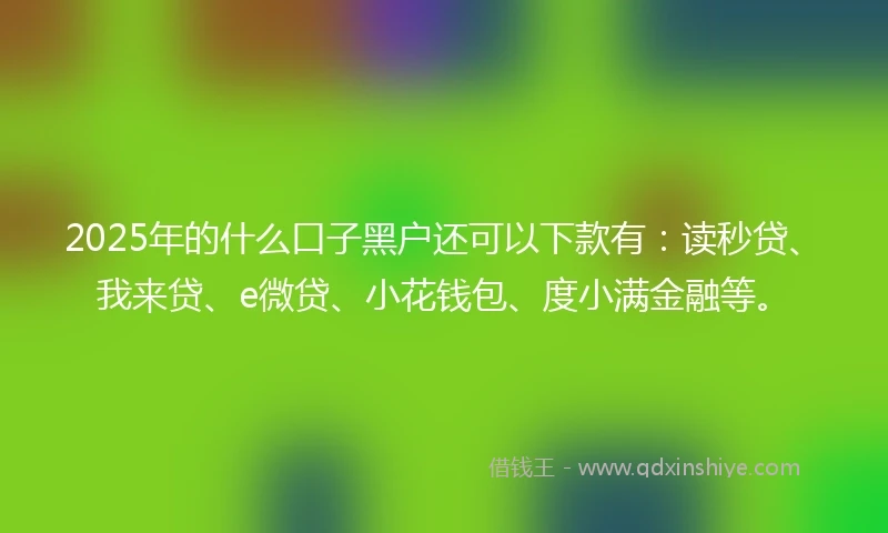 2025年的什么口子黑户还可以下款有：读秒贷、我来贷、e微贷、小花钱包、度小满金融等。