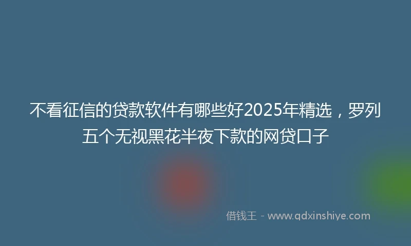 不看征信的贷款软件有哪些好2025年精选，罗列五个无视黑花半夜下款的网贷口子