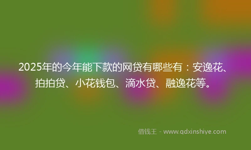 2025年的今年能下款的网贷有哪些有：安逸花、拍拍贷、小花钱包、滴水贷、融逸花等。