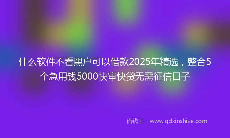 什么软件不看黑户可以借款2025年精选，整合5个急用钱5000快审快贷无需征信口子