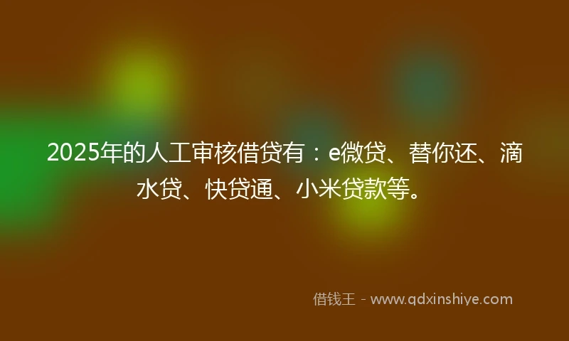 2025年的人工审核借贷有：e微贷、替你还、滴水贷、快贷通、小米贷款等。