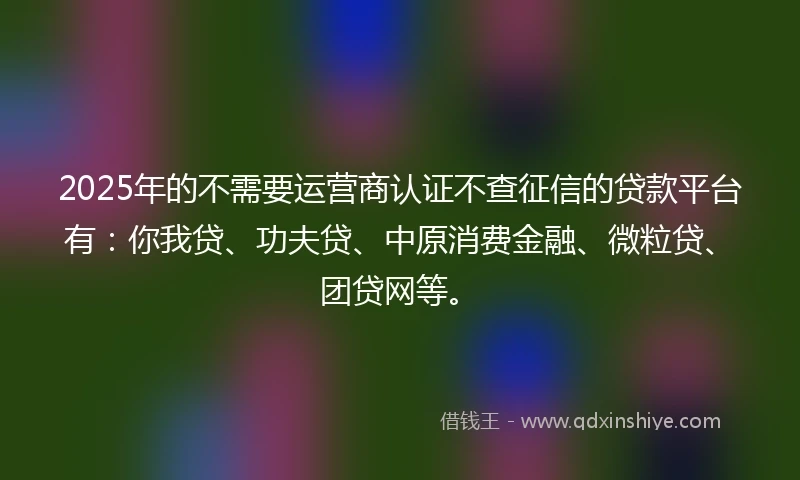 2025年的不需要运营商认证不查征信的贷款平台有：你我贷、功夫贷、中原消费金融、微粒贷、团贷网等。