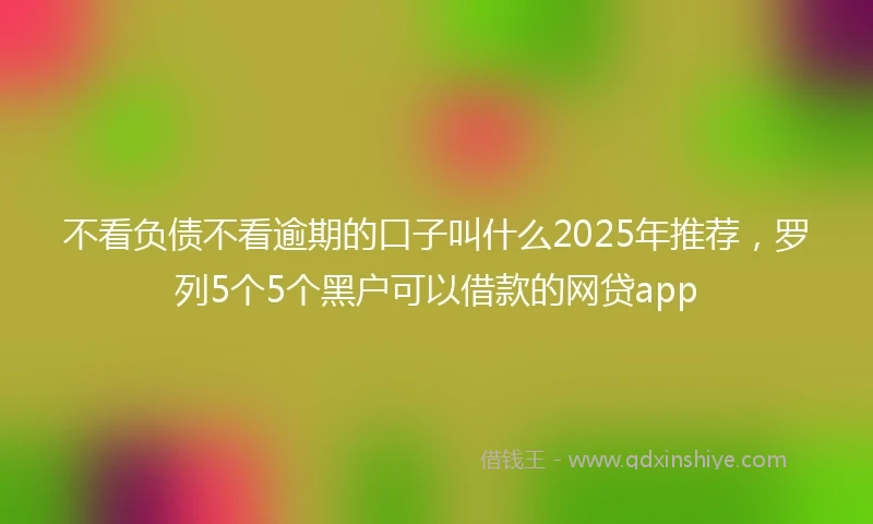 不看负债不看逾期的口子叫什么2025年推荐,罗列5个5个黑户可以借款的网贷app