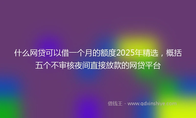 什么网贷可以借一个月的额度2025年精选，概括五个不审核夜间直接放款的网贷平台