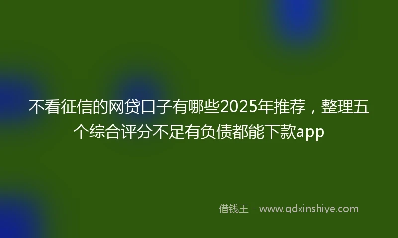 不看征信的网贷口子有哪些2025年推荐，整理五个综合评分不足有负债都能下款app