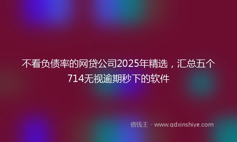 不看负债率的网贷公司2025年精选，汇总五个714无视逾期秒下的软件