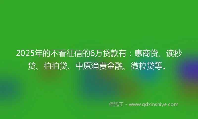 2025年的不看征信的6万贷款有：惠商贷、读秒贷、拍拍贷、中原消费金融、微粒贷等。
