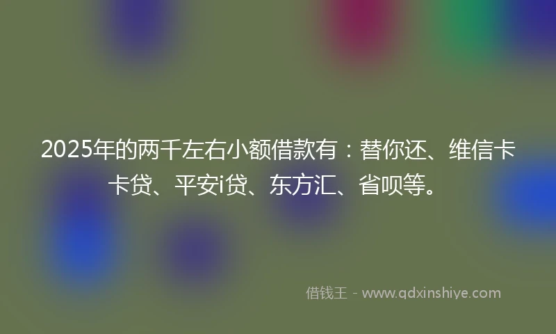 2025年的两千左右小额借款有：替你还、维信卡卡贷、平安i贷、东方汇、省呗等。