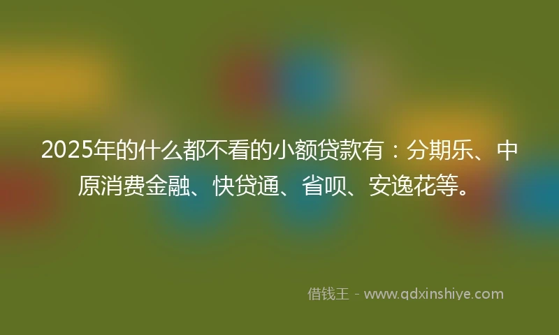2025年的什么都不看的小额贷款有：分期乐、中原消费金融、快贷通、省呗、安逸花等。