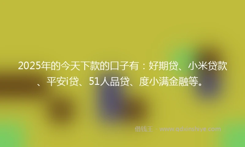 2025年的今天下款的口子有：好期贷、小米贷款、平安i贷、51人品贷、度小满金融等。