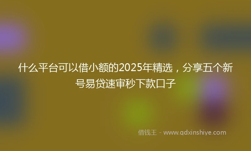 什么平台可以借小额的2025年精选，分享五个新号易贷速审秒下款口子