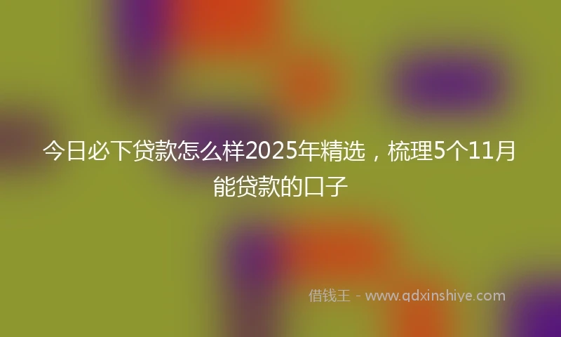 今日必下贷款怎么样2025年精选，梳理5个11月能贷款的口子