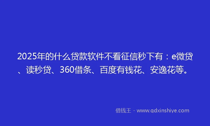 2025年的什么贷款软件不看征信秒下有：e微贷、读秒贷、360借条、百度有钱花、安逸花等。