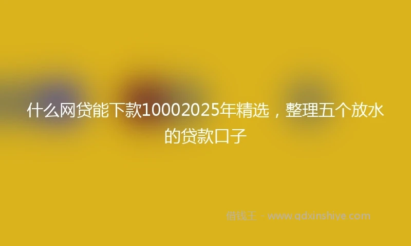 什么网贷能下款10002025年精选，整理五个放水的贷款口子