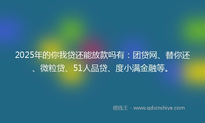 2025年的你我贷还能放款吗有：团贷网、替你还、微粒贷、51人品贷、度小满金融等。