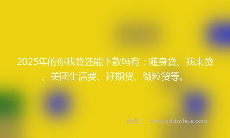 2025年的你我贷还能下款吗有：随身贷、我来贷、美团生活费、好期贷、微粒贷等。