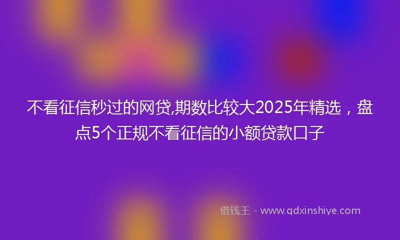 不看征信秒过的网贷,期数比较大2025年精选，盘点5个正规不看征信的小额贷款口子